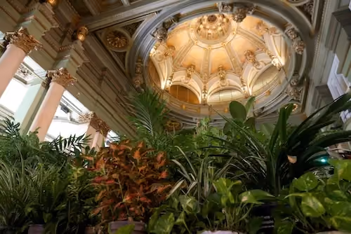 Refugio climático lleno de plantas en el Círculo de Bellas Artes