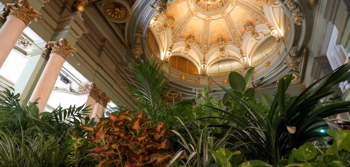 Climate shelter full of plants at Círculo de Bellas Artes