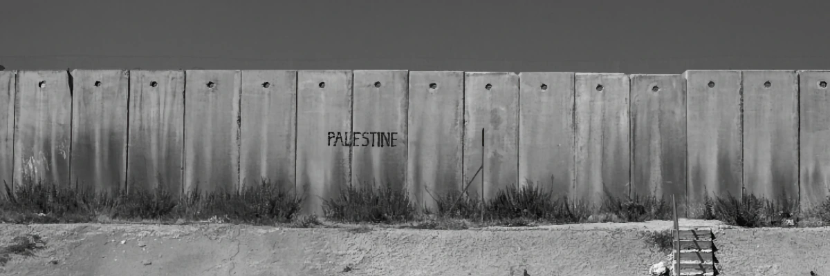 Exhibition Conducir por Palestina by Rehab Nazzal at Cara Árabe