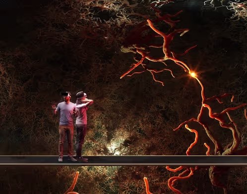 Human Universe immersive room with free-roaming VR in Madrid