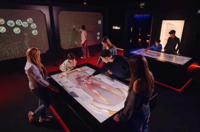 Immersive room at "Human Universe: the human body experience"