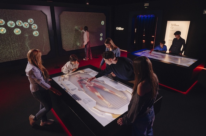 Immersive room at "Human Universe: the human body experience"
