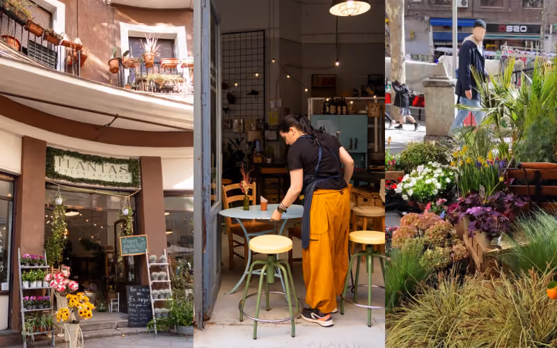 Plantas Luego Existes, plant shop and wine bar in Madrid's El Rastro flea market.