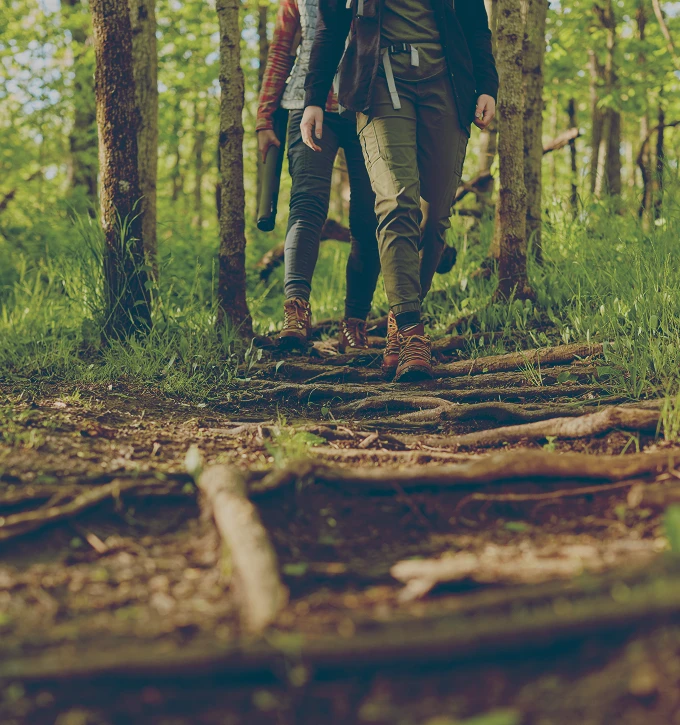 Retired couple hiking on a forest trail with tree roots and green foliage around.