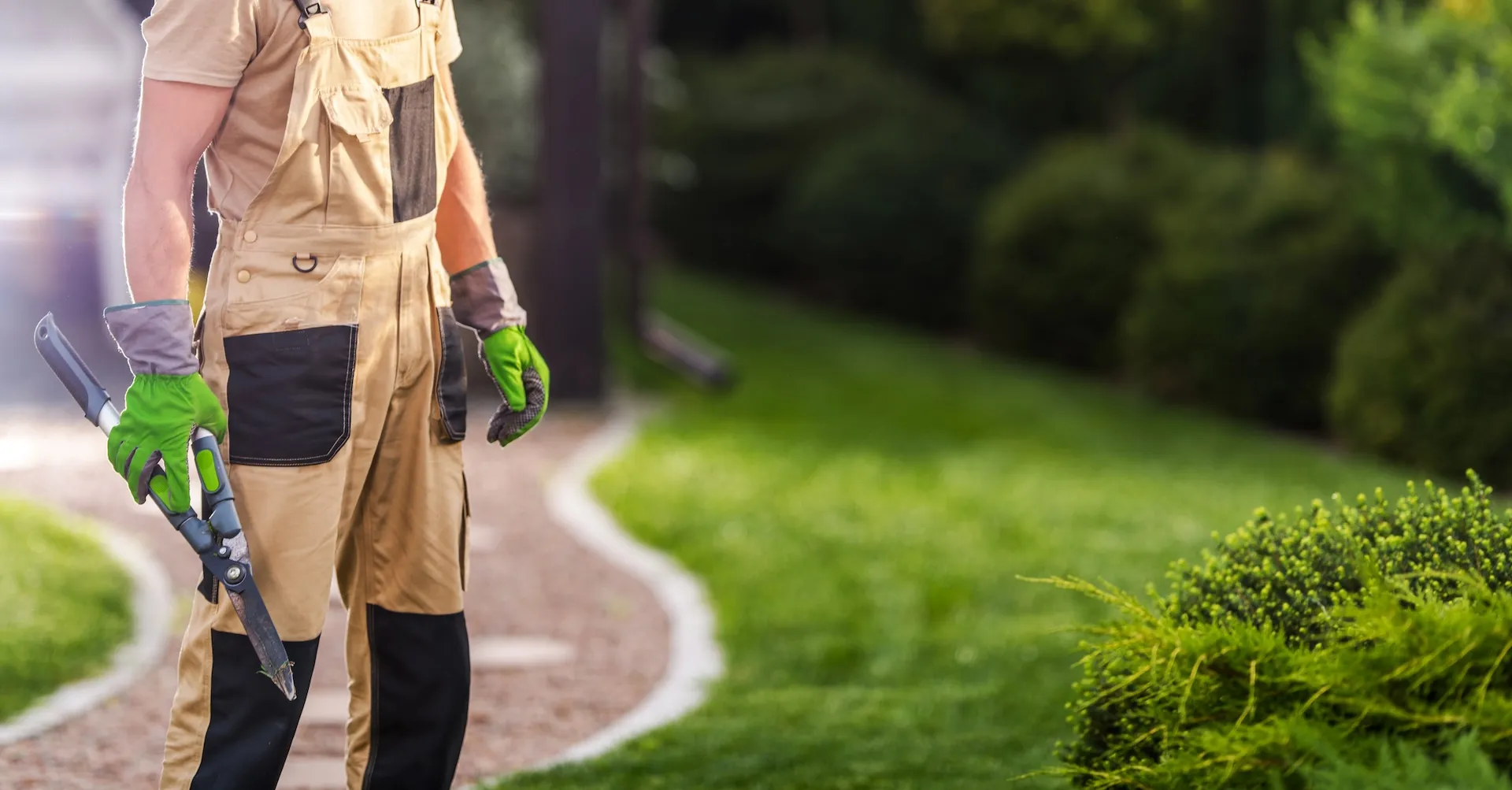 A gardener pruning bushes