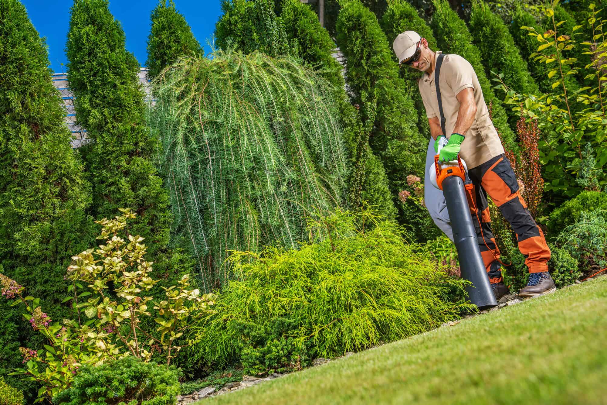 A professional gardener taking care of a lawn