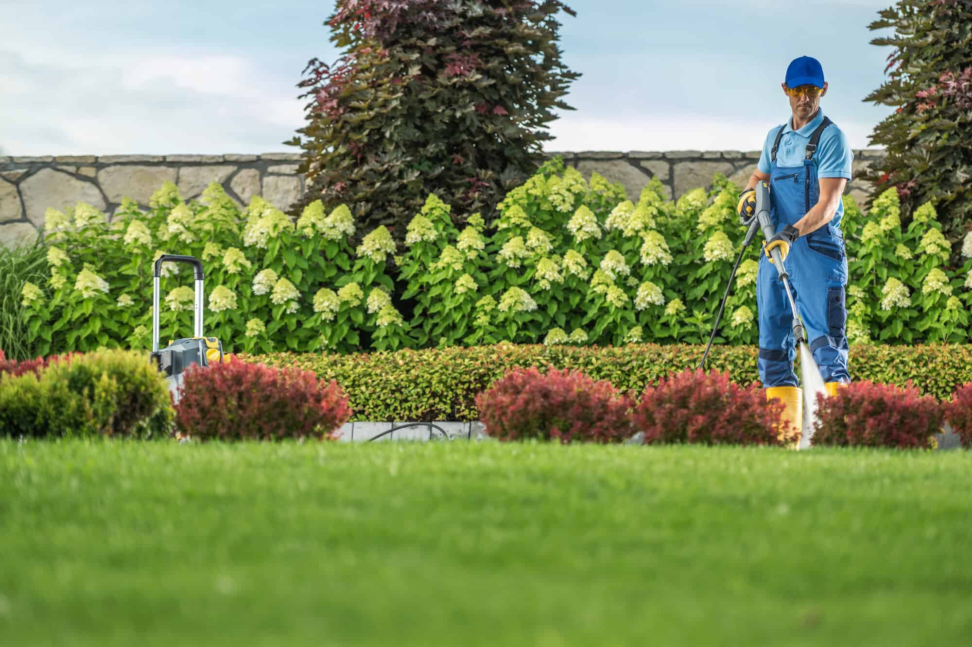 A gardener watering bushes