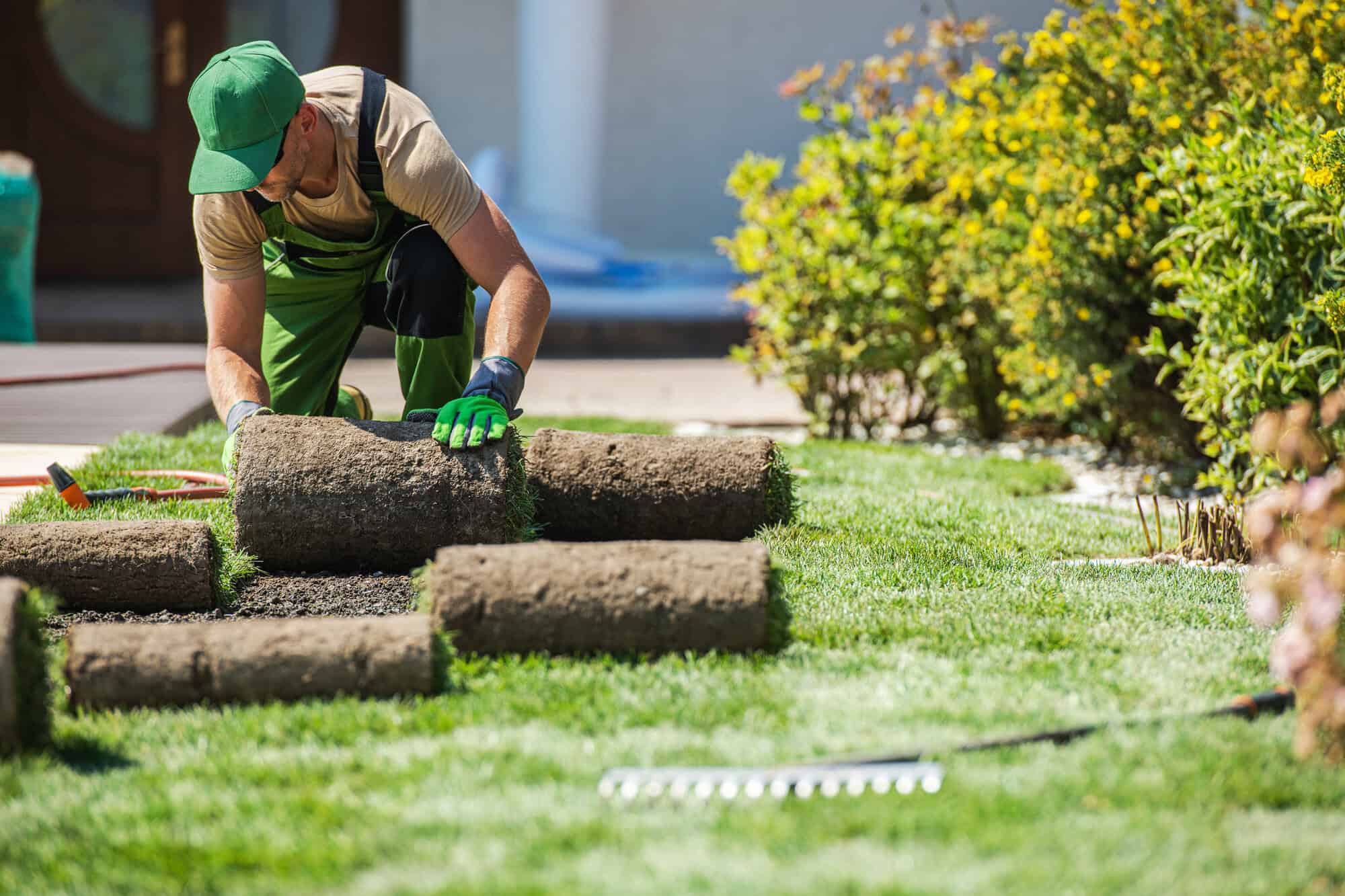 A person laying down grass