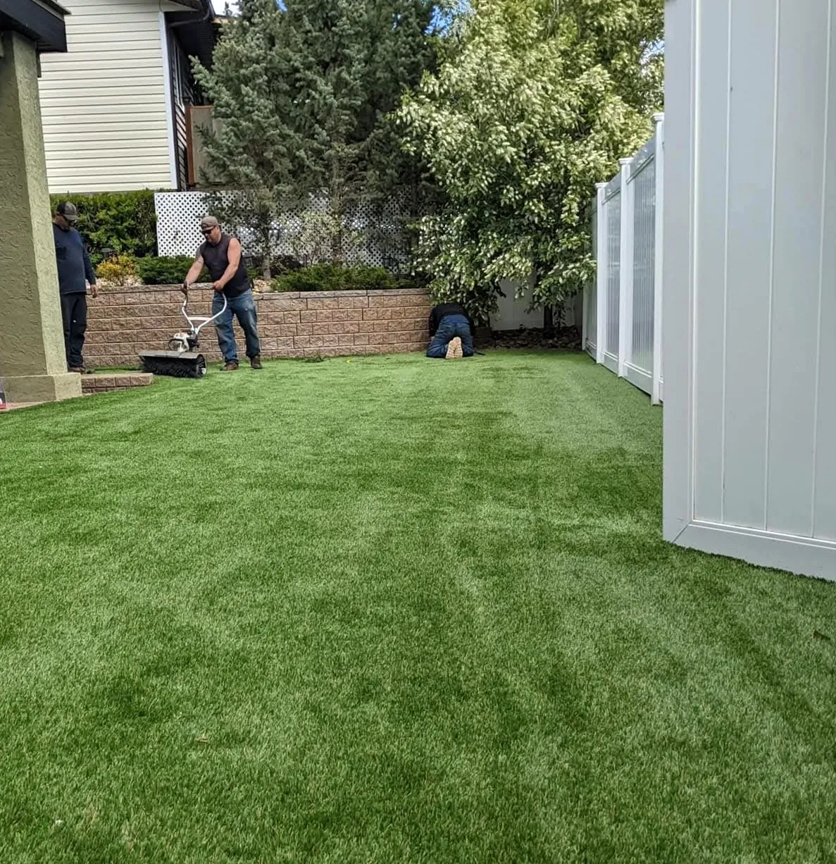 Trimmed grass in a residential backyard 