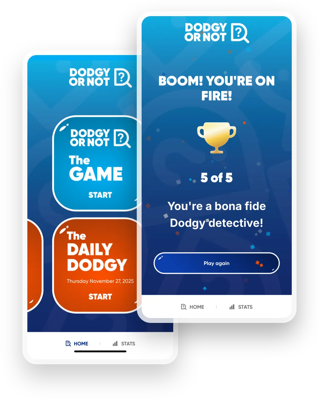 Dodgy or Not? game on iPhone