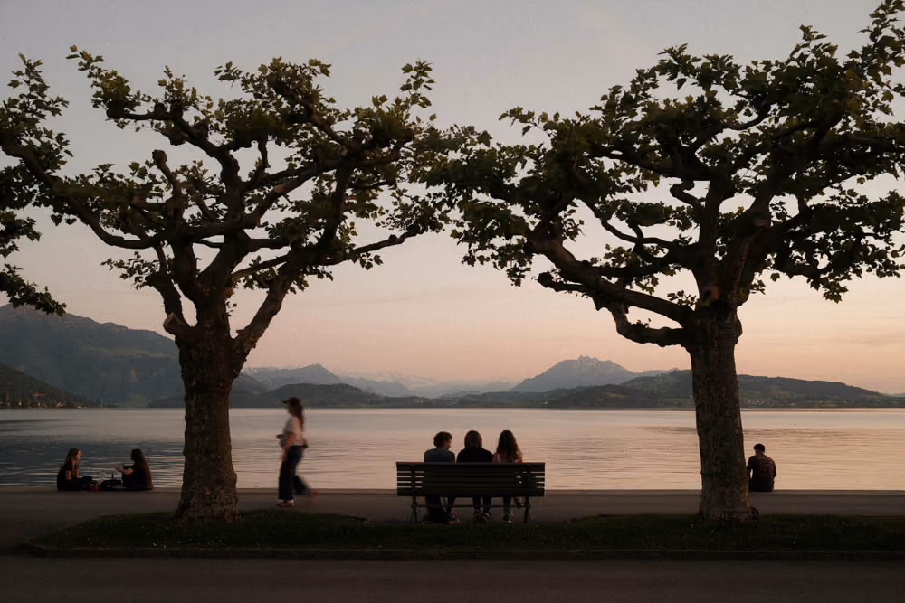 Three people sit on a bench by a lake at sunset, framed by two leafy trees and mountains in the background.