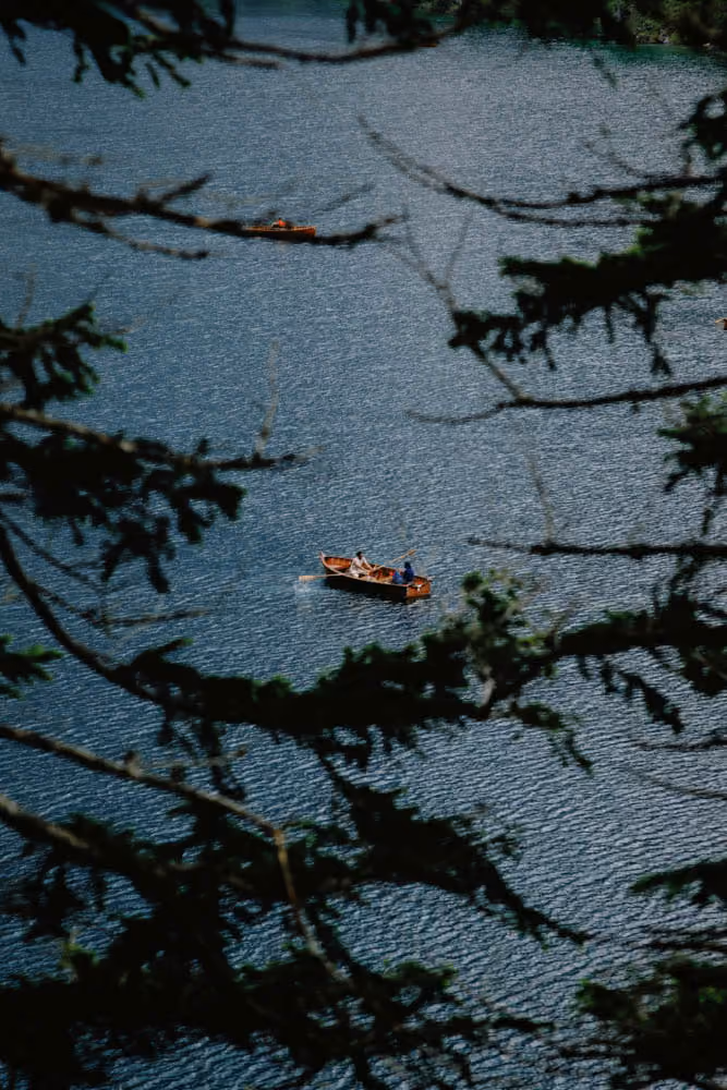 Two wooden boats on a lake seen through dark green pine branches.