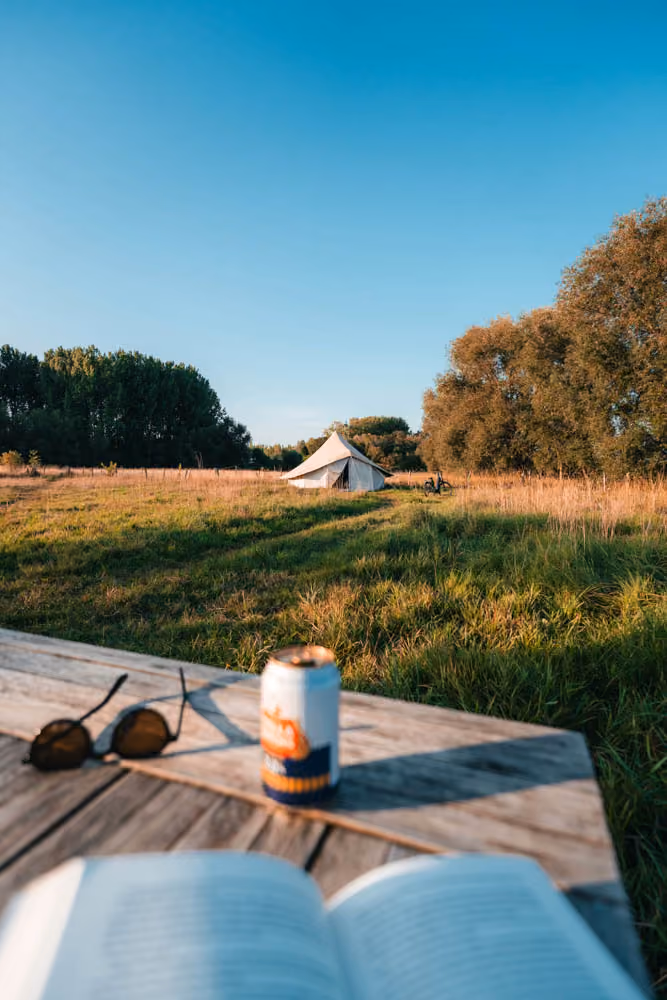 Open book, sunglasses, and a drink on a wooden table with a tent and trees in a sunlit grassy field.