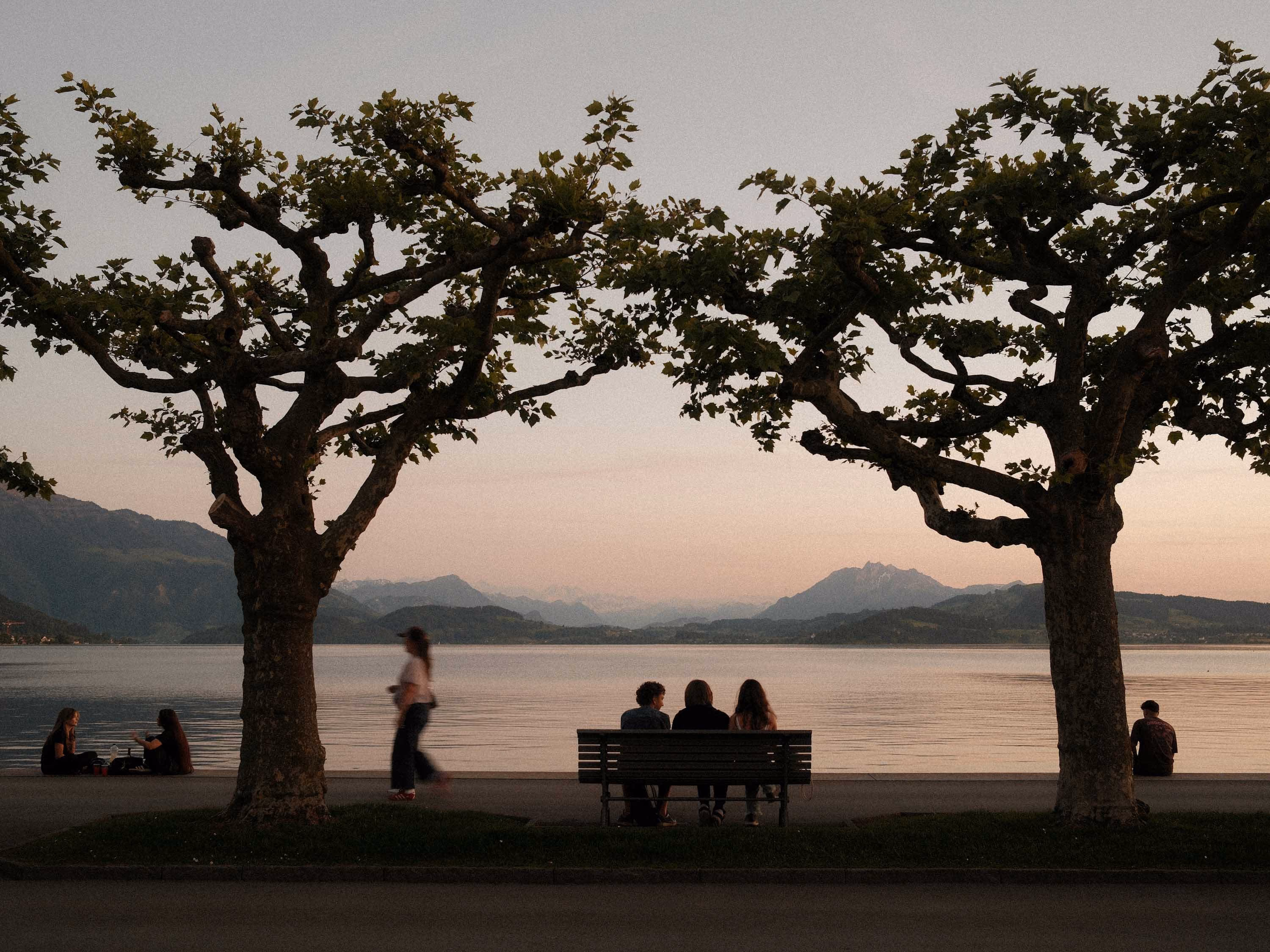 People sitting and walking near a lake at sunset framed by two leafy trees with mountains in the background.