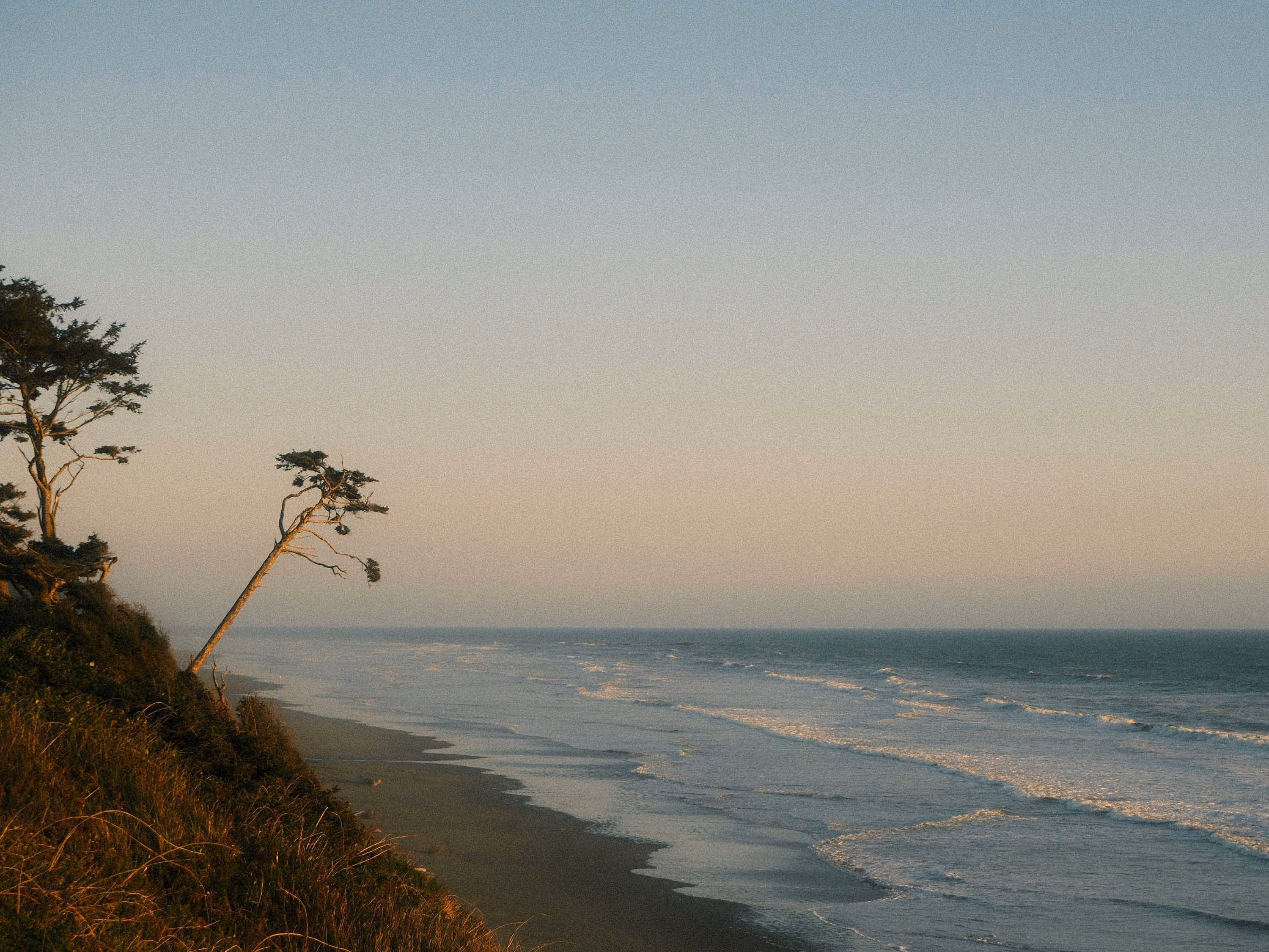 Coastal view of ocean waves rolling onto a sandy beach with trees on a grassy cliff at sunset.