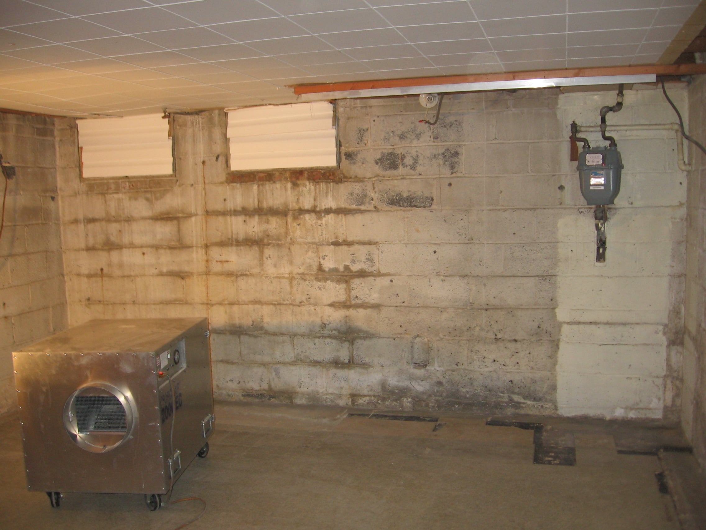 Man inspecting potential mold on wall