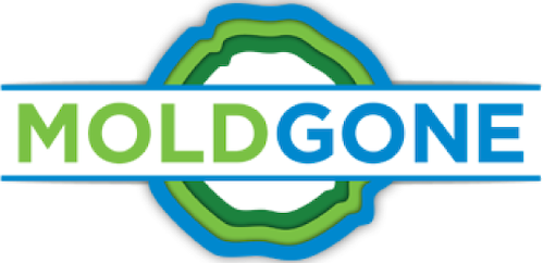 MoldGone