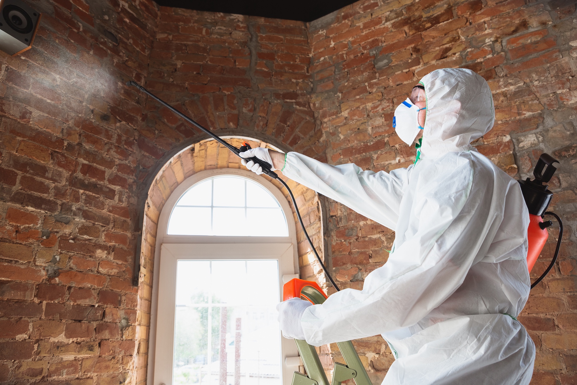Mold remediation technician treating brick wall
