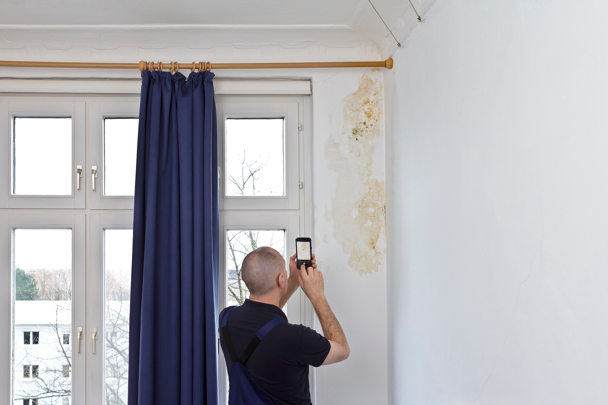 Visible mold damage on wood