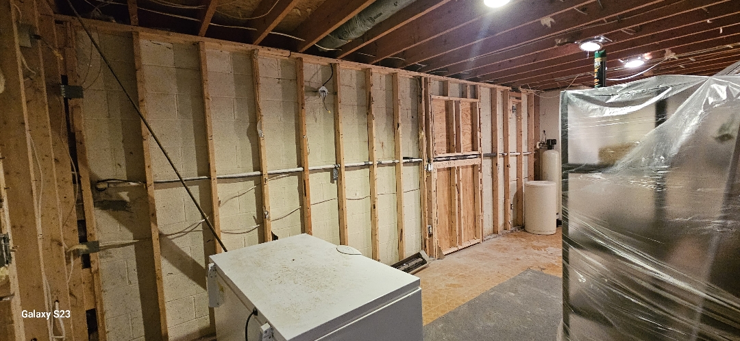 Technician spraying mold treatment
