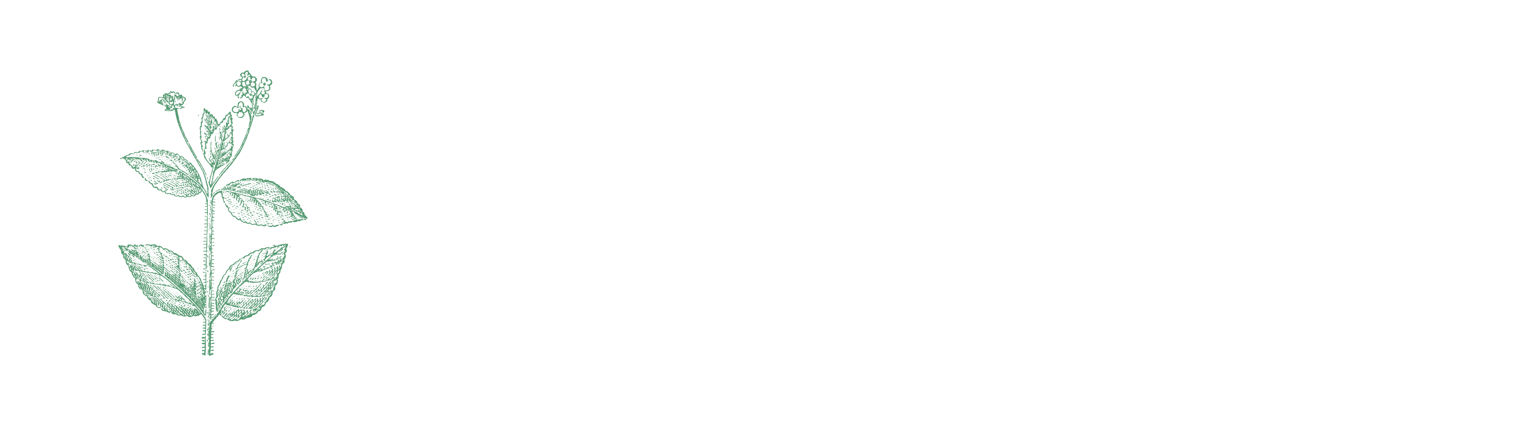 Logotipo de Lantana Montessori Internacional