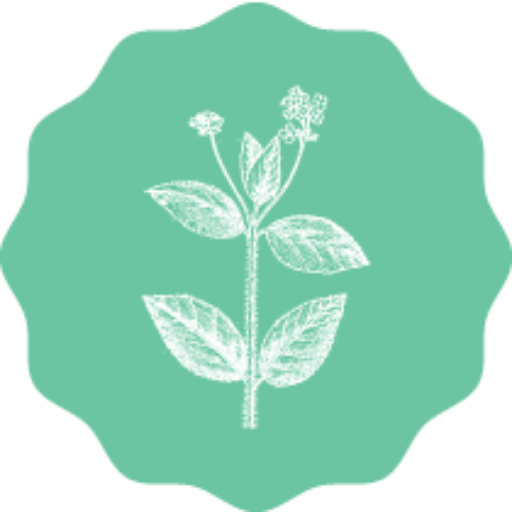 Ilustración blanca de una planta con hojas y flores sobre un fondo verde azulado con bordes ondulados.