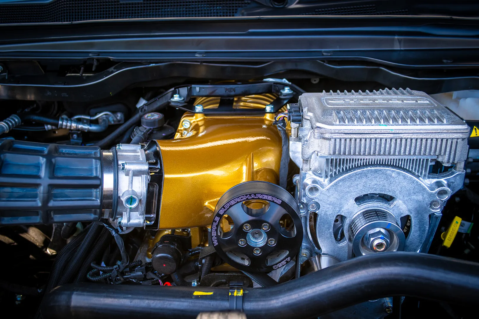 Engine bay showing a whipple supercharger with gold intake manifold, black pulley, and intercooler installed under the hood