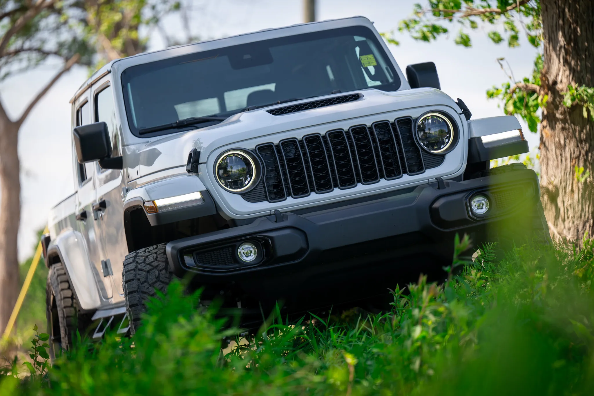 Front view of a white jeep wrangler unlimited with round led headlights and off-road tires, framed by tall green vegetation and a large tree