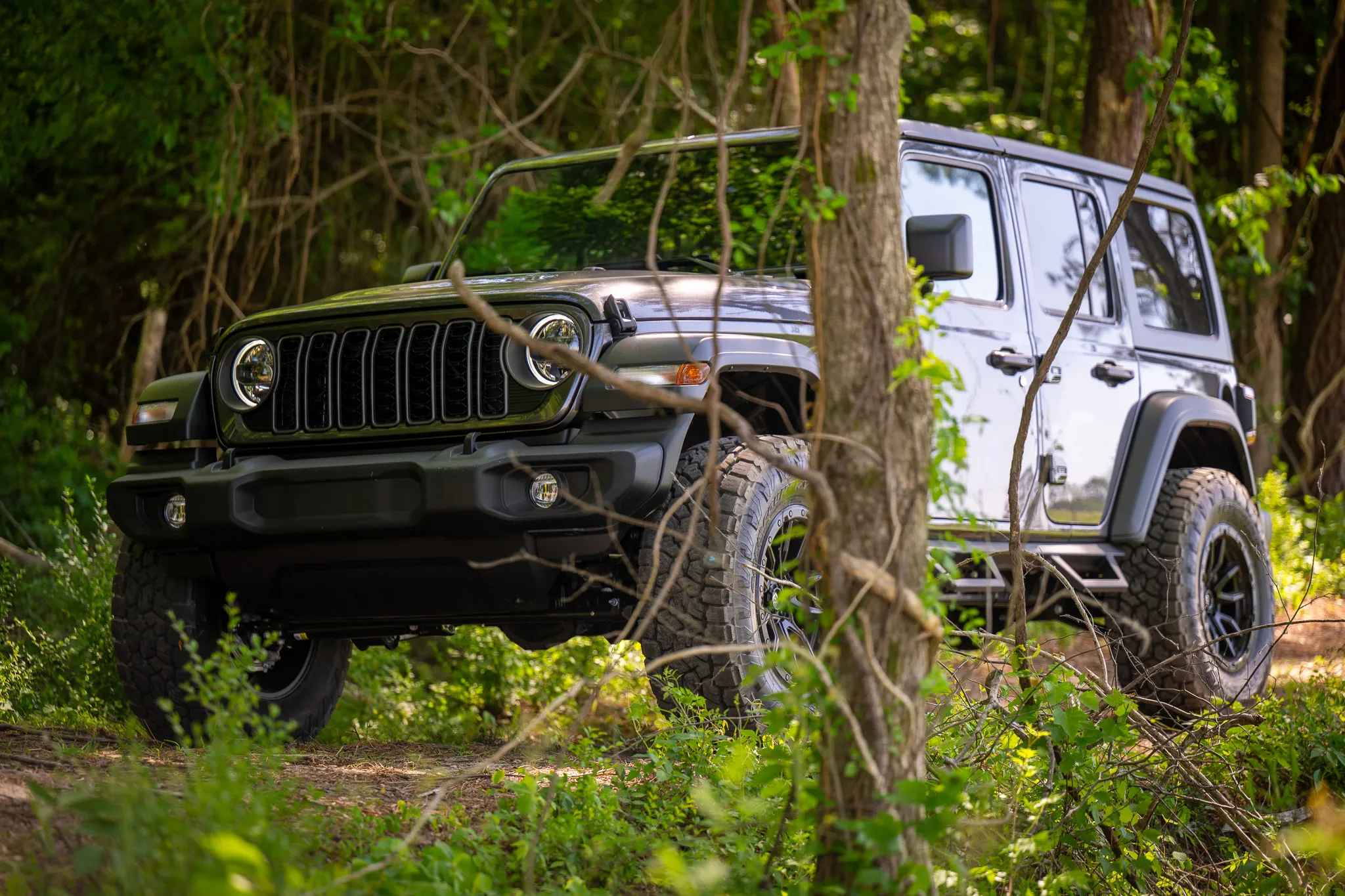 green and white jeep wranglers with off-road tires parked together on a wooded trail surrounded by trees and vegetation