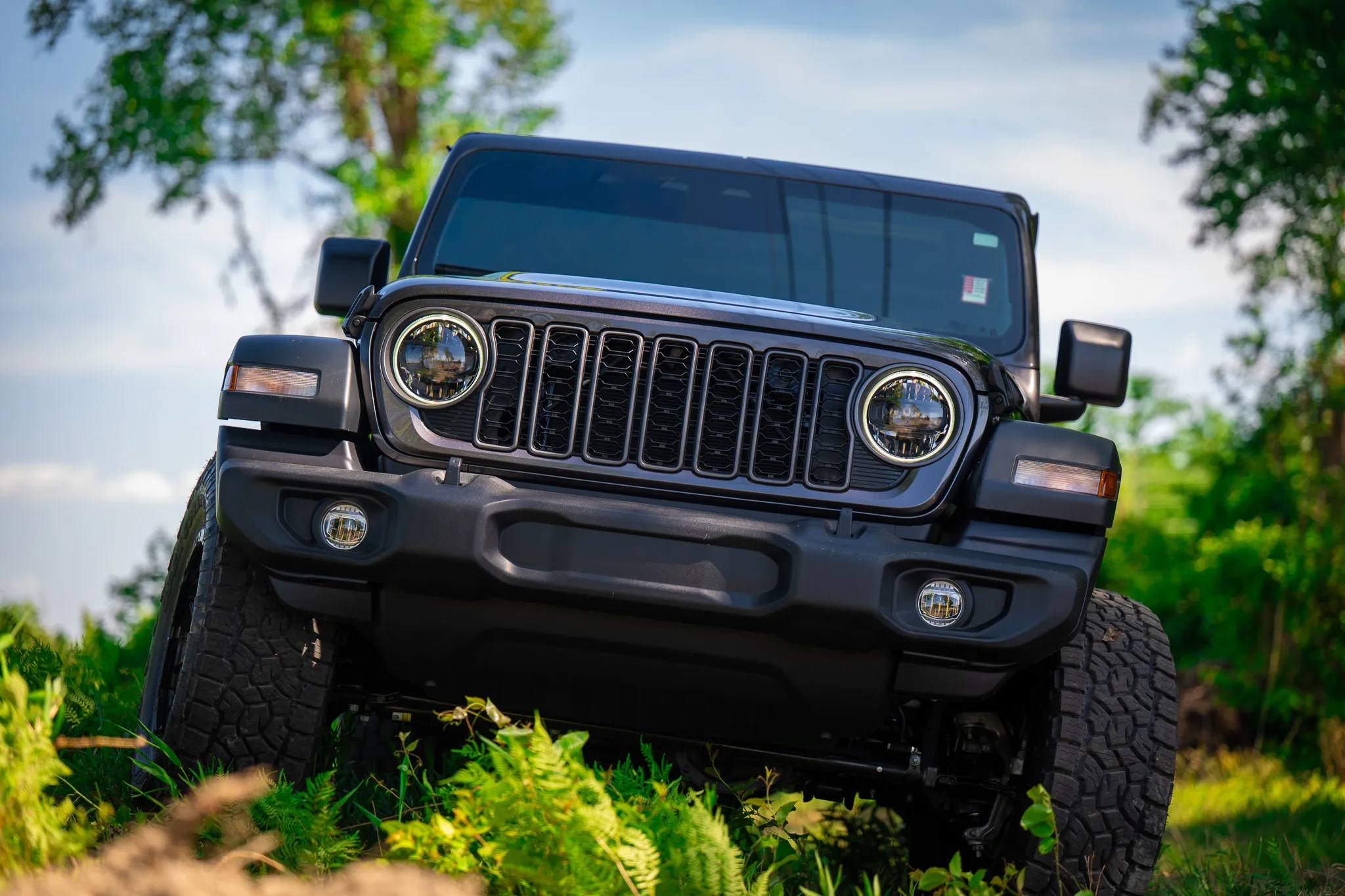 low-angle front view of a dark gray jeep wrangler with round halo led headlights and off-road tires, framed by green vegetation