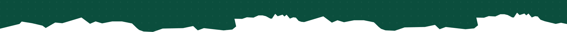 Video Shape
