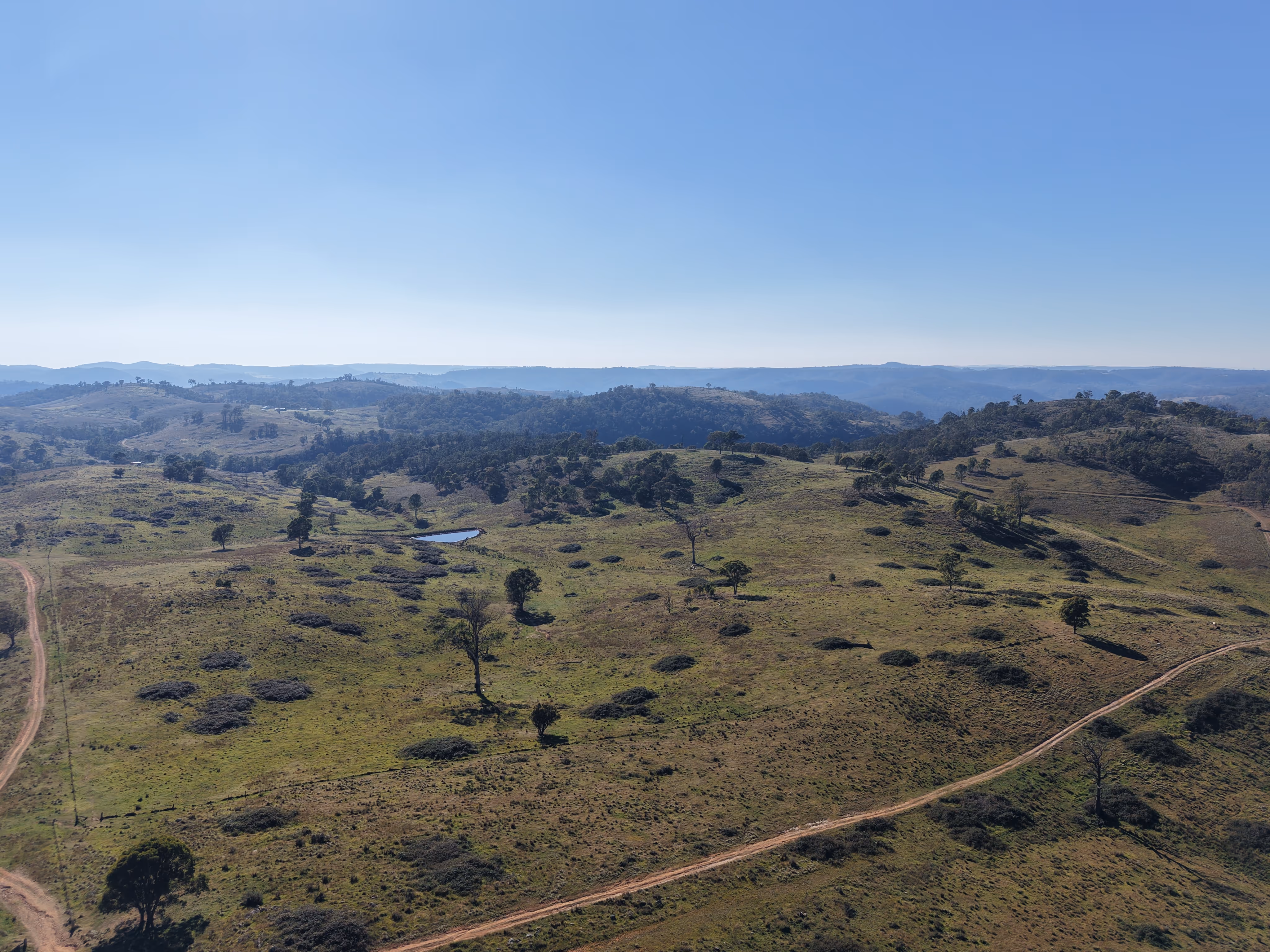 Aerial view of rolling grazing country dotted with scattered trees and shrubs, a small farm dam in the middle distance, and dirt tracks winding across the paddocks toward forested hills on the horizon.