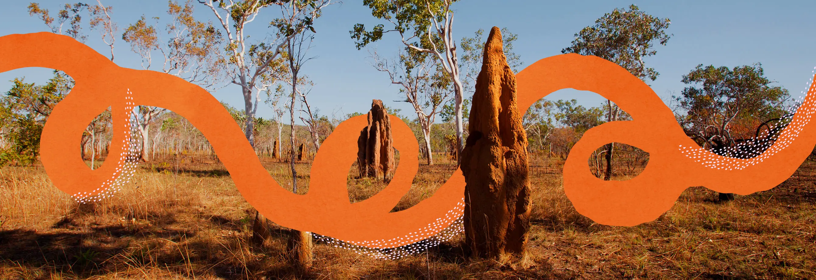 Indigital's orange spiral artwork overlaid on a red-earth landscape with termite mounds and eucalypt trees in Australia's Northern Territory