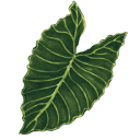 Paten Park Native Nursery logo