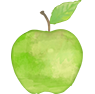 Market Street Medical Practice logo