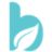 Brisbane City Psychologists logo