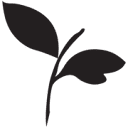 BOUQUET Boutique logo