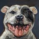 Fortitude Valley Vet logo