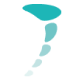 Footpoint Podiatry logo