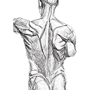 Primal Strength and Composition logo