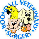 Boondall Veterinary Surgery logo