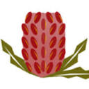 Banksia Women's Healing Centre logo