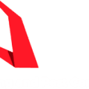 A1 Building & Pest Consultancy logo