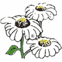 Organic Pest Control logo