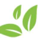 The Naturally Clean Co logo