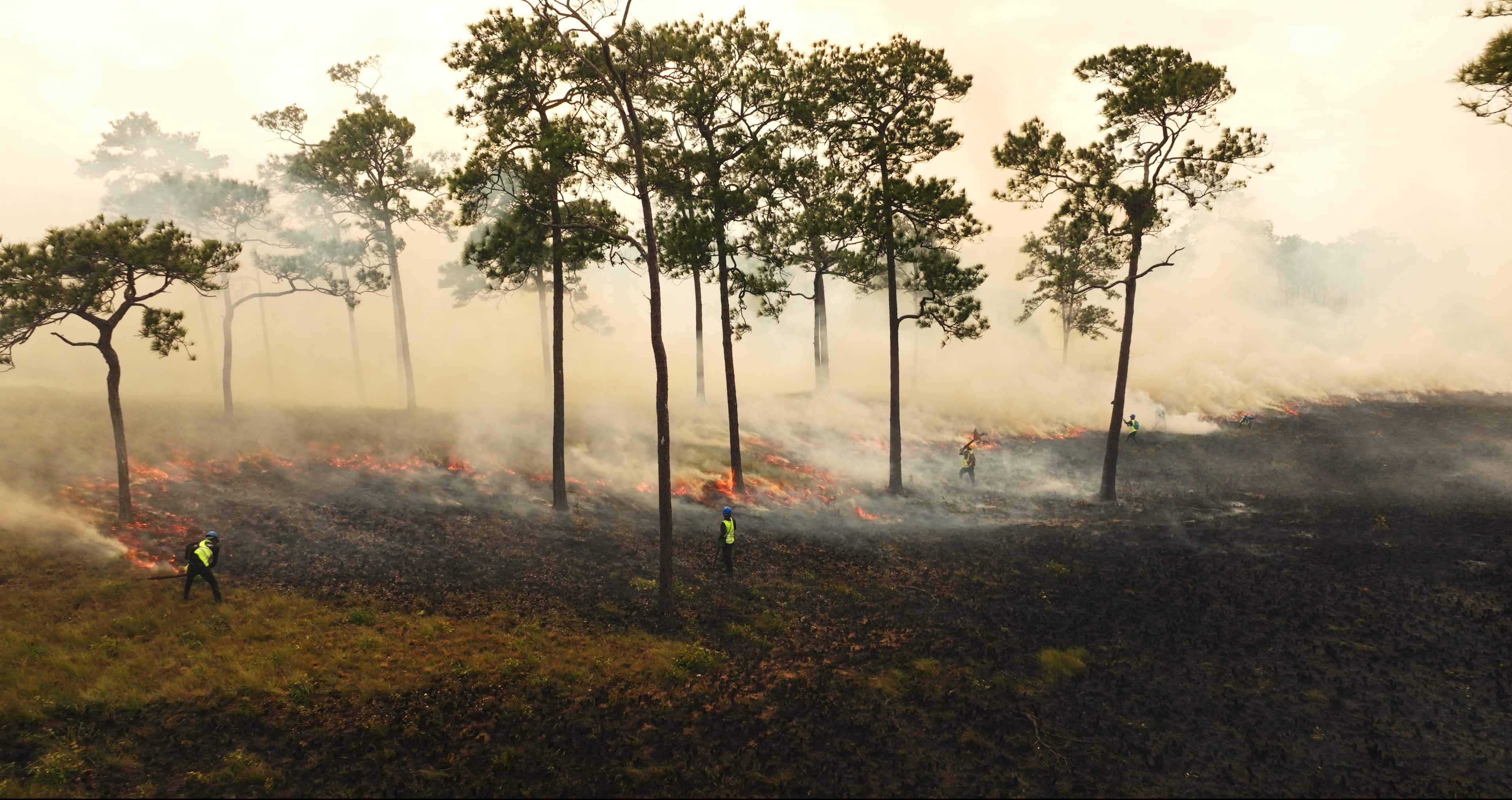 Fire spreading across the savanna in La Mosquitia