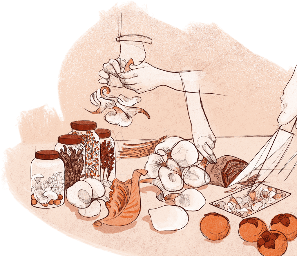 Illustration of hands preparing food with jars of dried herbs and spices, various mushrooms, vegetables, and a sliced loaf of bread on a table.