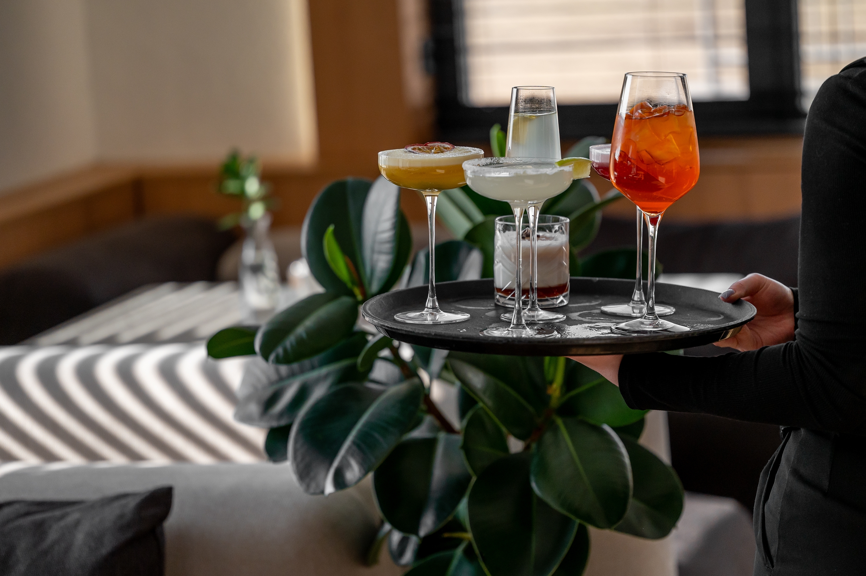 Waiter holding tray with assorted colorful cocktails in various glasses indoors by a plant.