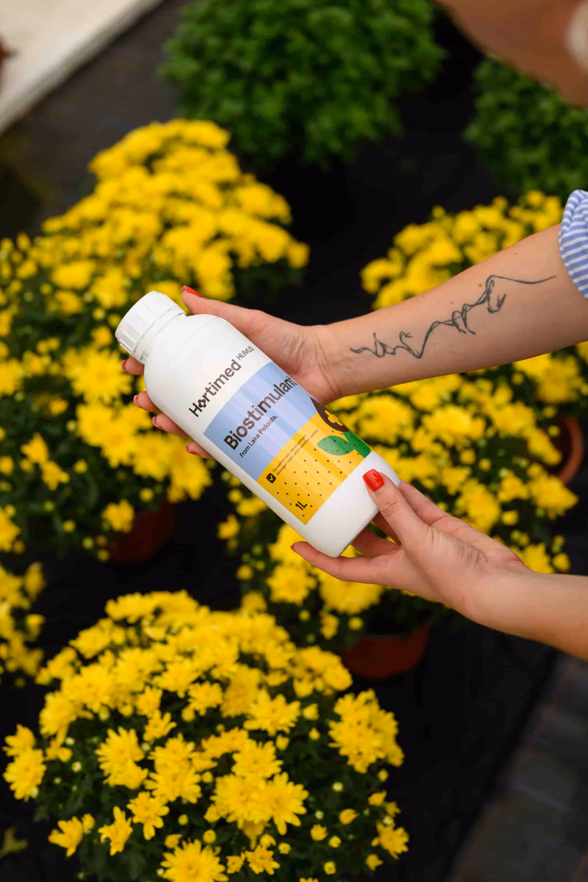 Hands holding a white bottle labeled Hortimed Humus Biostimulant with yellow flowers in the background.