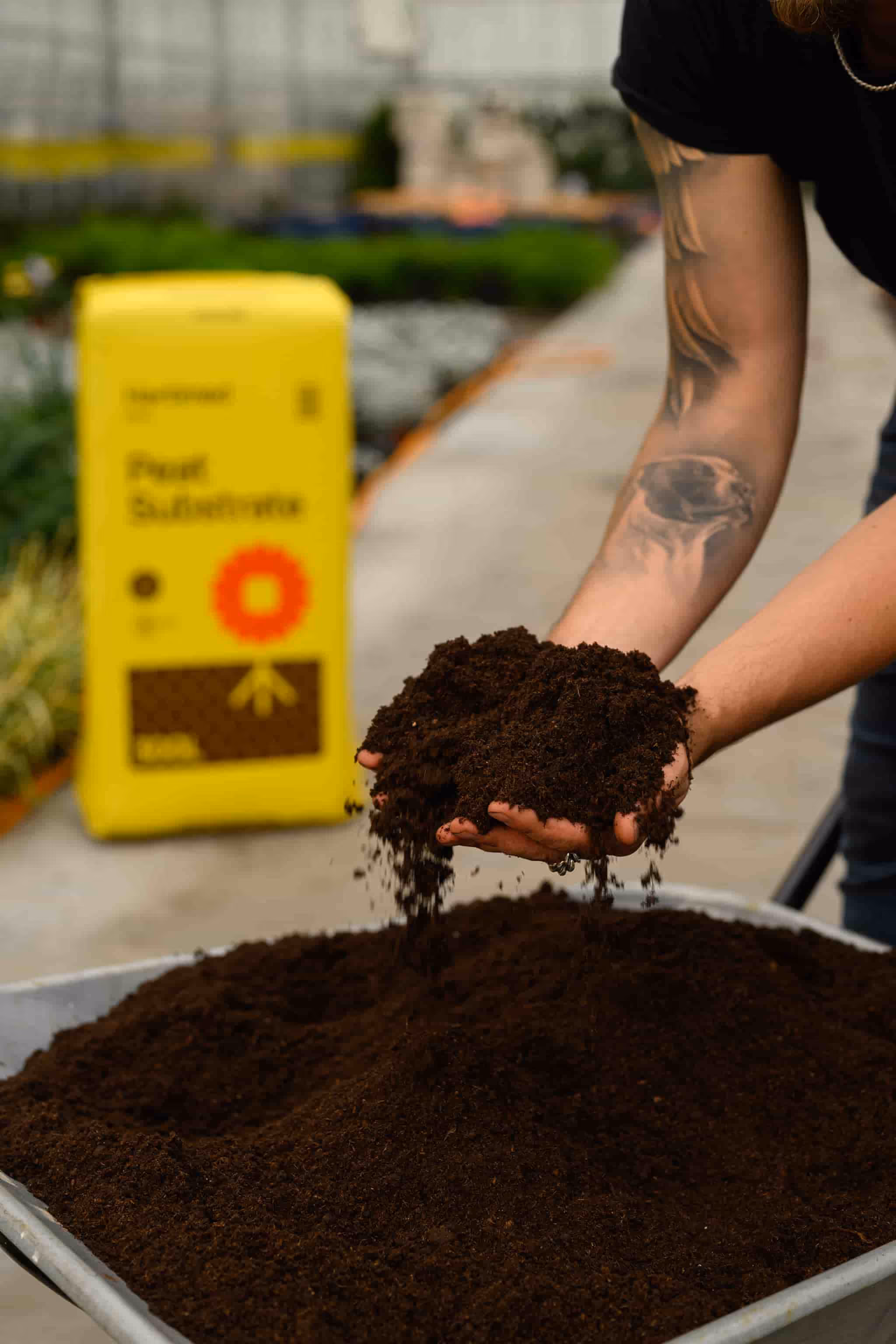 Person with tattooed arm holding and sifting dark soil over a wheelbarrow filled with soil in a greenhouse.